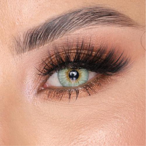 jasmine 1 yıllık lens