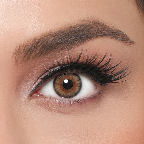 elamore retro sienna brown 6 aylık lens