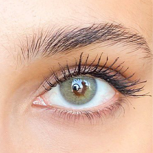 labella dimgray milano haresiz aylık lens