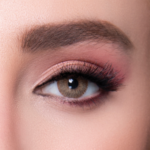 labella exclusive channel brown lens