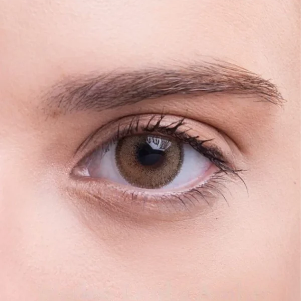 medeo limba amber hareli aylık lens