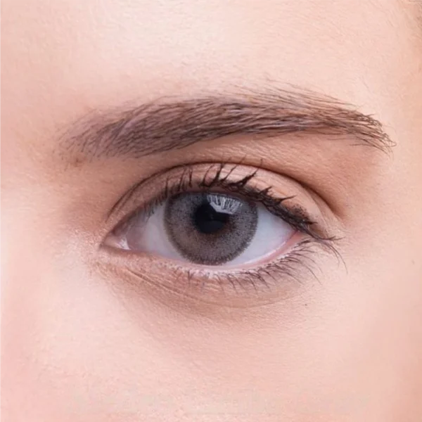 medeo limba gray hareli aylık lens