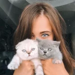 medeo ring grey hareli gri renkli lens