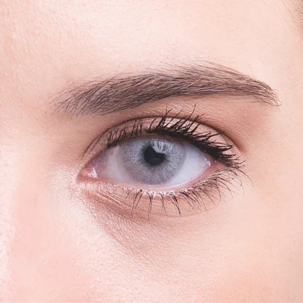 bollena silver haresiz aylık lens