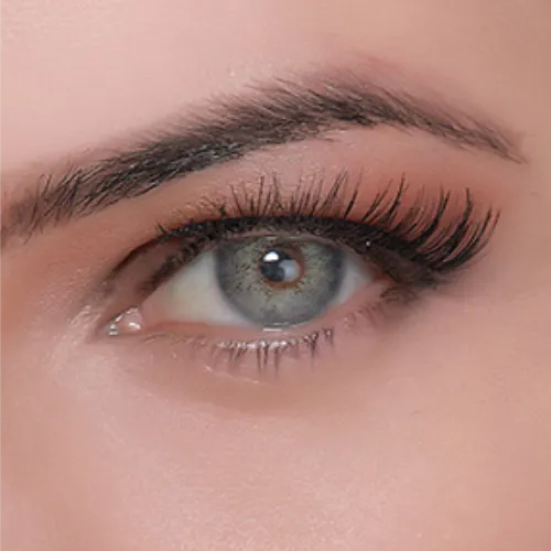 hypnose graphite aylık lens