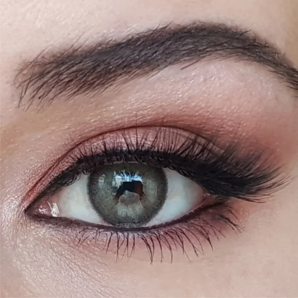 moss gray yıllık lens